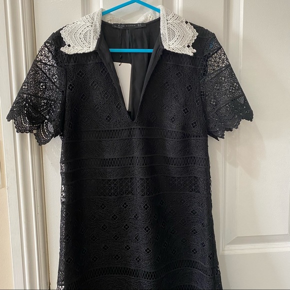NWT Zara Black Lace Collared Shift A Line Dress XS - Picture 4 of 14